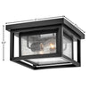 1003BK Republic 2 Light Industrial Outdoor Flush Mount | Alternate Image