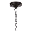 16-1214 Cally 1 Light Chandelier | Alternate Image