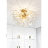 16-1232CLR Poppy 5 Light Flush | Lifestyle Image