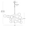 16-1444PN Dion 12 Light Chandelier | Dimensions Image