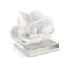 20-1286WT Magnolia Objet | Main Image