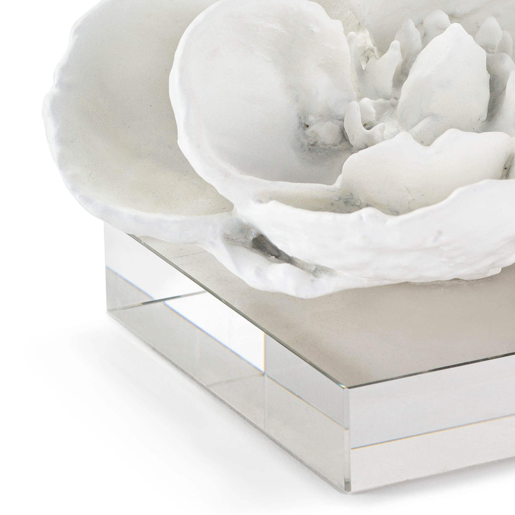 20-1286WT Magnolia Objet | Alternate Image