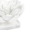 20-1483 Succulent Resin Sculpture 1 | Alternate Image