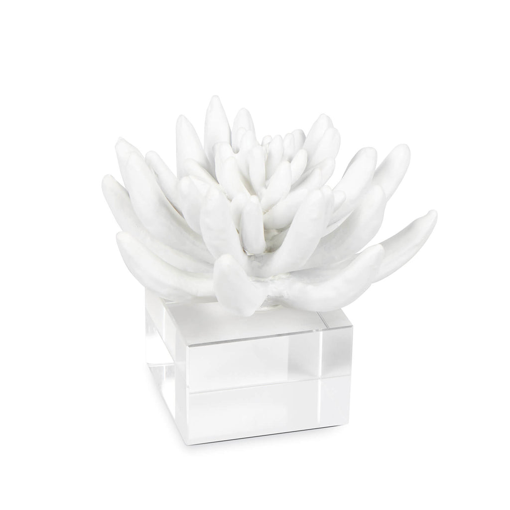 20-1484 Succulent Resin Sculpture 2 | Main Image