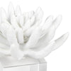 20-1484 Succulent Resin Sculpture 2 | Alternate Image