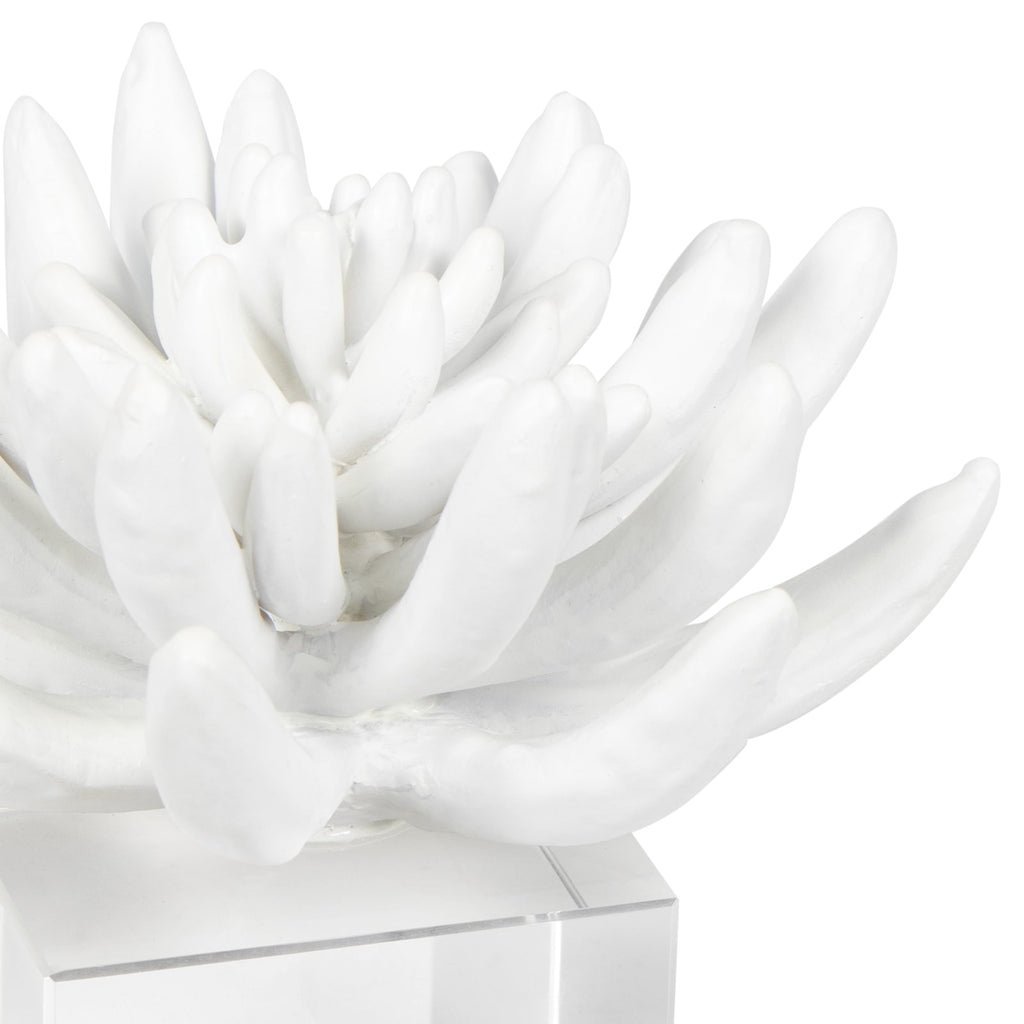 20-1484 Succulent Resin Sculpture 2 | Alternate Image