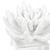 20-1484 Succulent Resin Sculpture 2 | Alternate Image