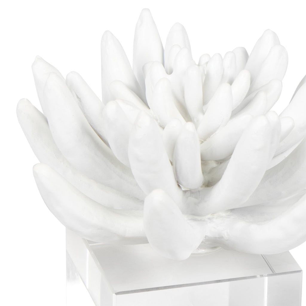 20-1484 Succulent Resin Sculpture 2 | Alternate Image