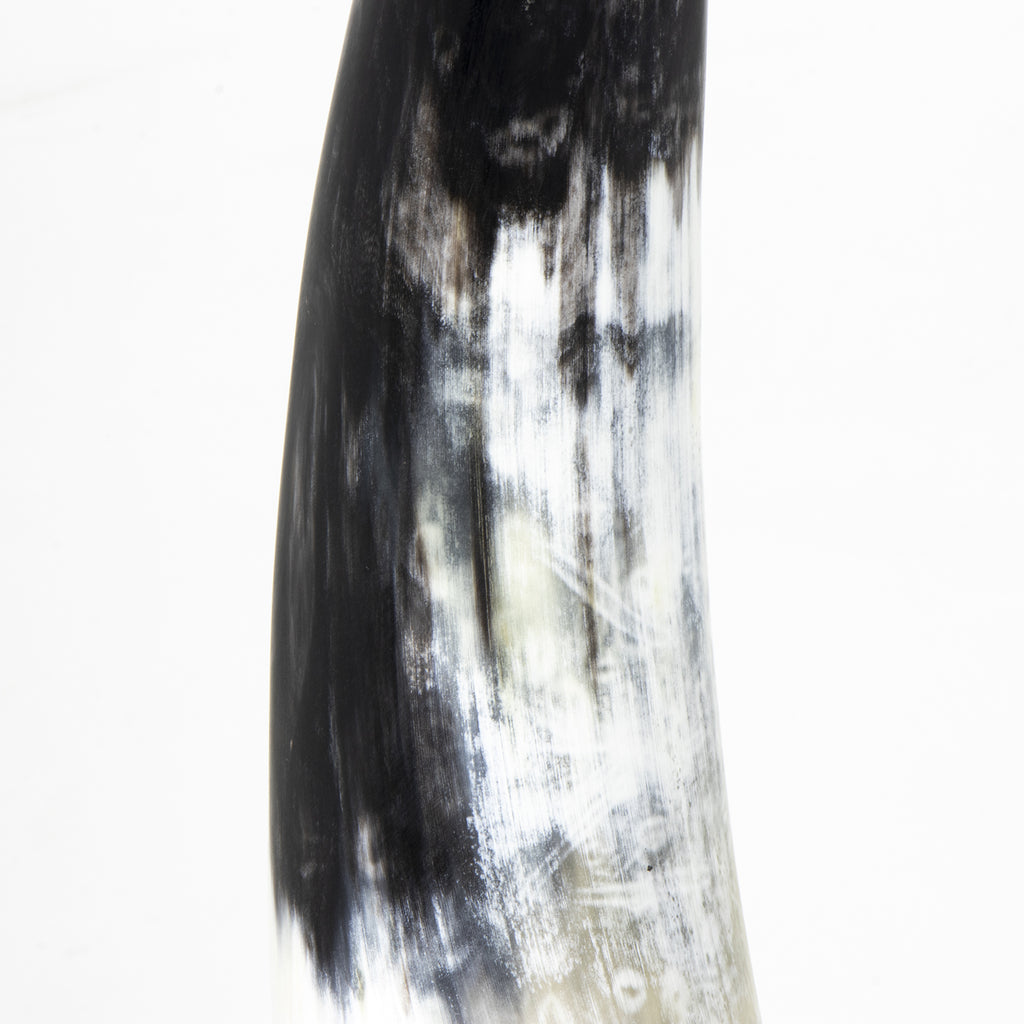 20-1546 Daylon Horn Small | Alternate Image