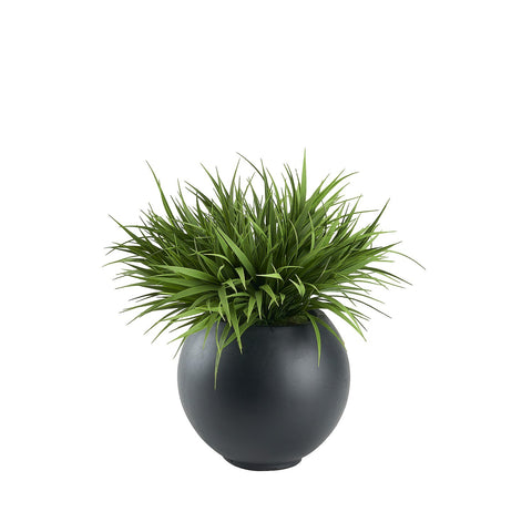 Indoor Garden