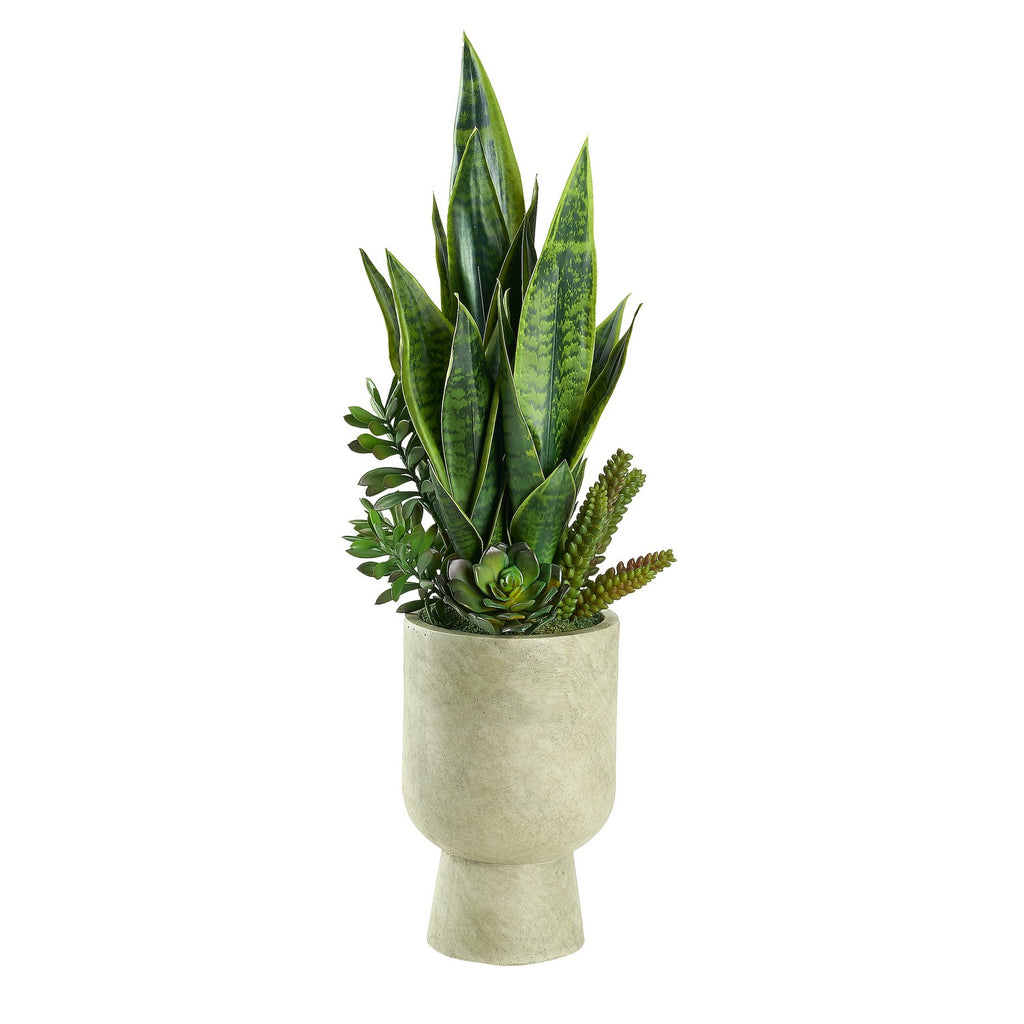 snake plant succulents Snake Plant and Succulents in Romelia Planter