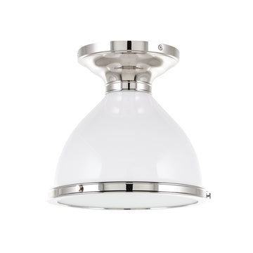Polished Nickel