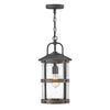 2682DZ Lakehouse 1 Light Industrial Outdoor Chandelier | Main Image