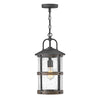 2682DZ Lakehouse 1 Light Industrial Outdoor Chandelier | Main Image