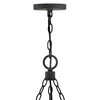 29208BK Sawyer 9 Light Outdoor Chandelier|Alternate Image