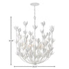 30016TXP Flora 6 Light Chandelier|Dimensions Image