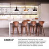 30074BK Cedric 2 Light Pendant|Lifestyle Image