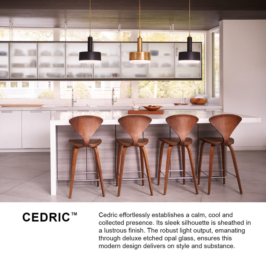 30074BK Cedric 2 Light Pendant|Lifestyle Image