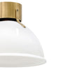 3481HB-CO Argo 1 Light Industrial Flush Mount | Alternate Image