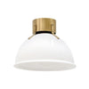 3481HB-CO Argo 1 Light Industrial Flush Mount | Main Image