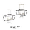 3534BK Stinson 8 Light Industrial Chandelier | Alternate Image