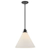 3694BK Arti 1 Light Industrial Pendant Main Image