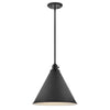 3694BK Arti 1 Light Industrial Pendant Main Image