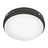 39053BK Oliver 3 Light Industrial Flush Mount | Alternate Image