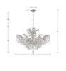 4439-CH-CL-MWP Maria Theresa 6 Light Chandelier | Dimensions Image