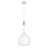 4457BK Ziggy 1 Light Industrial Pendant Main Image