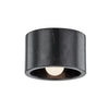 4500-BM-PN Loris 1 Light Flush Mount Main Image