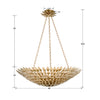 519-GA Broche 8 Light Chandelier | Dimensions Image