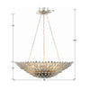 519-SA Broche 8 Light Chandelier | Dimensions Image