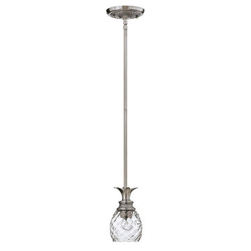 Polished Antique Nickel