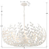 569-MT Broche 12 Light Chandelier | Dimensions Image