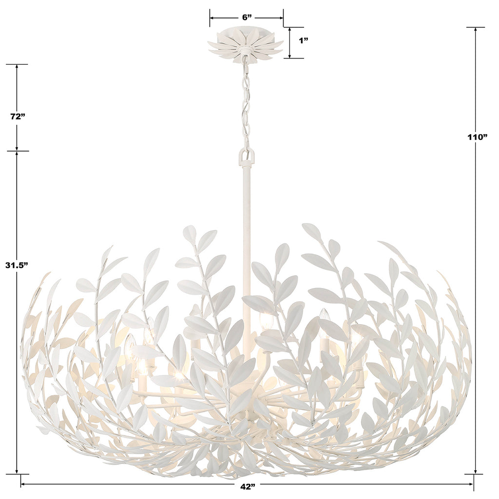 569-MT Broche 12 Light Chandelier | Dimensions Image