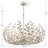 569-SA Broche 12 Light Chandelier | Dimensions Image