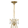 Crystorama Cedar 28'' Chandelier in Vibrant Gold - Additional View