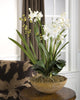 Venice Beach Boho Florals | Brown Moth Orchid Dish Garden - Alternate Image