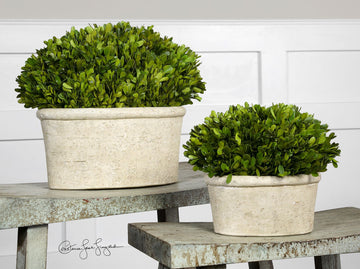 Mossy Stone