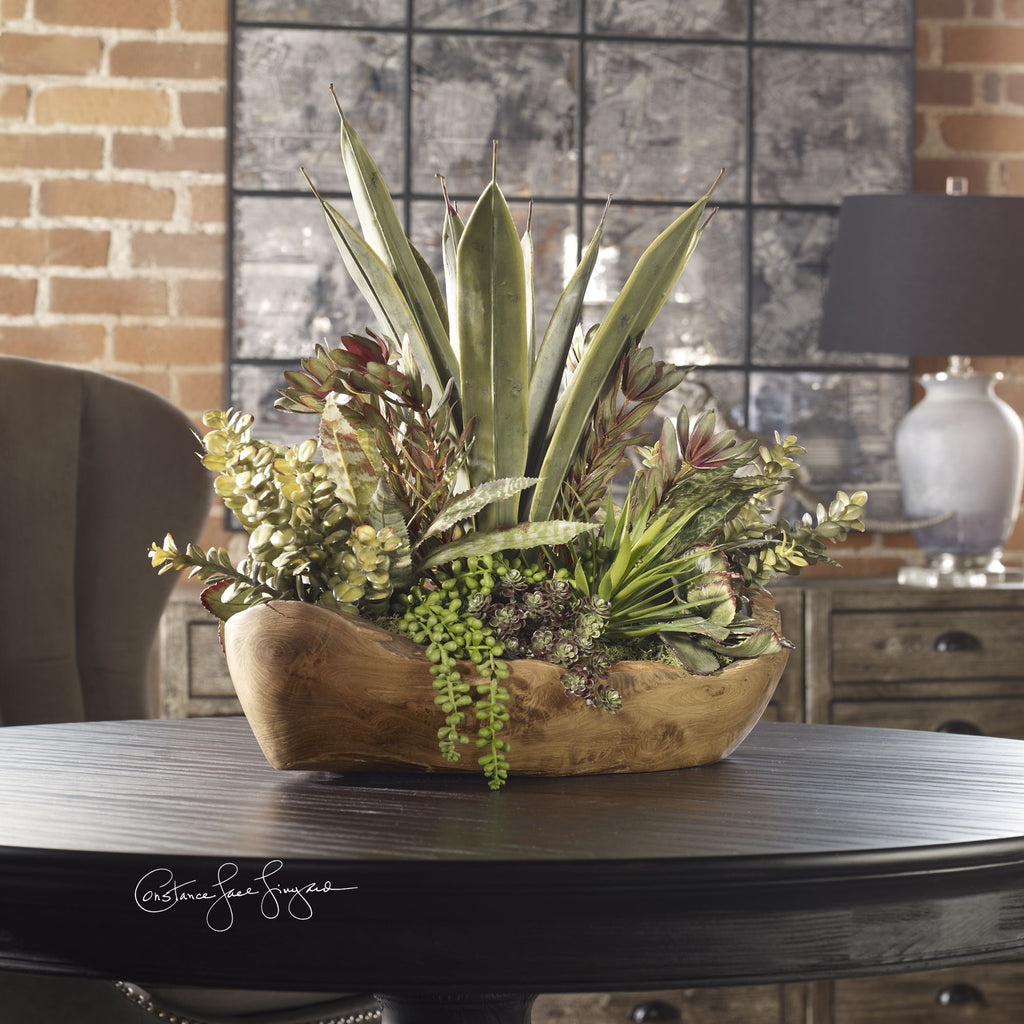 Dense And Lush Mix Of Succulent Plants Including Aloe, Jade, Bromeliad, String Of Pearls And Others In A Hand Carved, Natural Teak Bowl. - Alternate Image