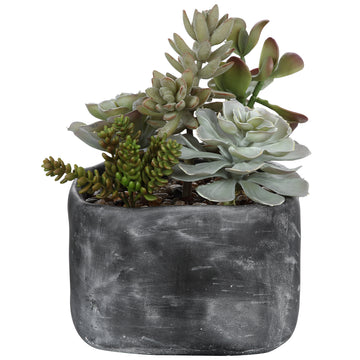 Charcoal Gray