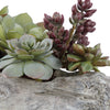 A Lush Mix Of Succulents In Varying Tones Of Greens And Burgundy Over A Faux Soil Mixture, Filling A Solid Concrete Container Resembling A Life-like Driftwood Log.- Alternate Image