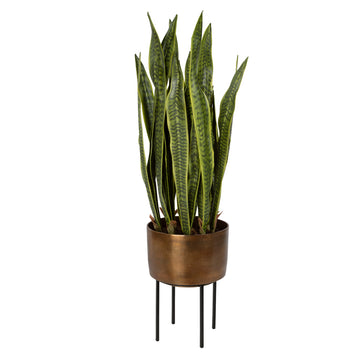 Antique Brass