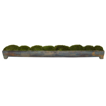 Oxidized Bronze