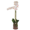 Pink and White Orchid Blooms in Clear Glass Vase | Midcentury Floral Decor- Alternate Image