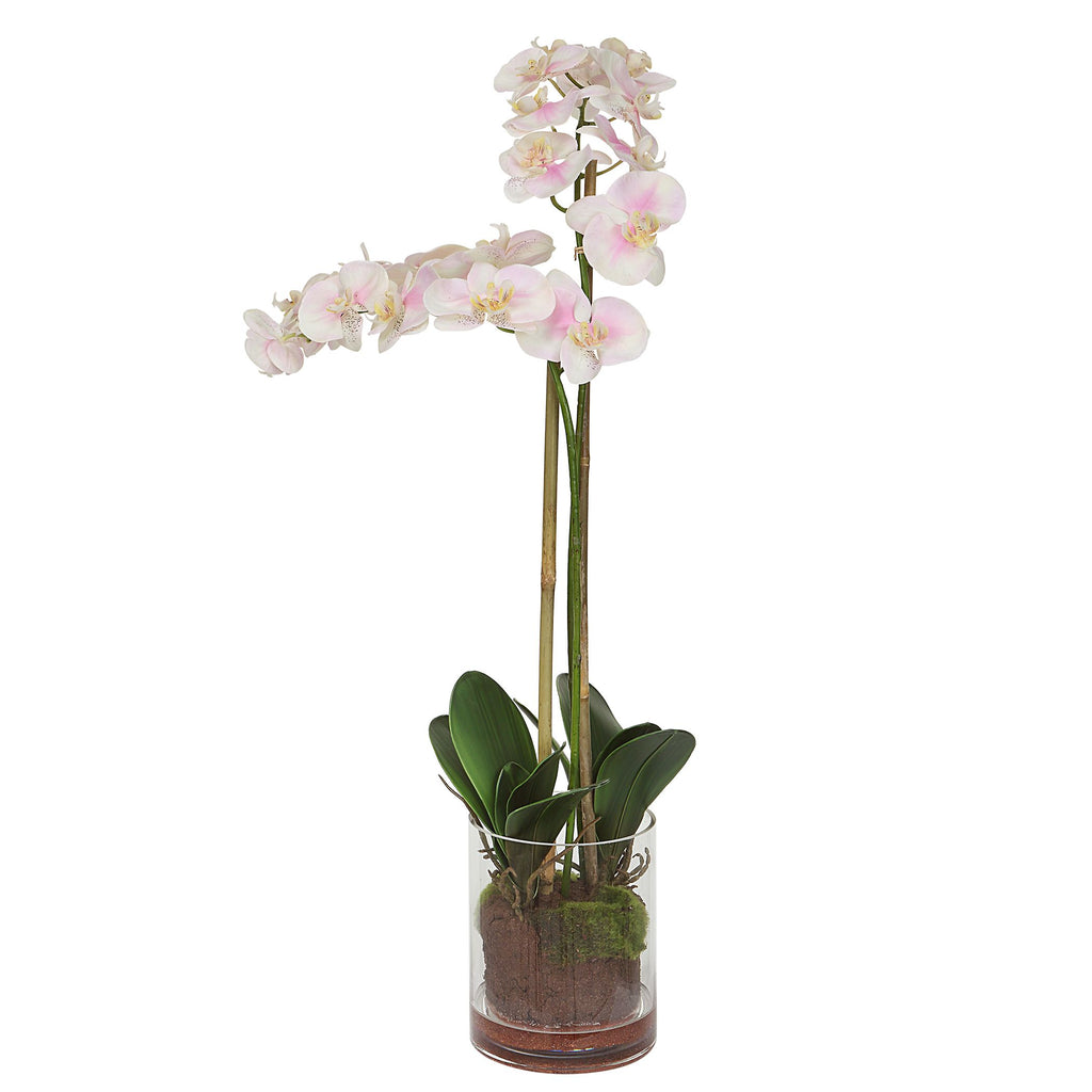 Pink and White Orchid Blooms in Clear Glass Vase | Midcentury Floral Decor- Alternate Image