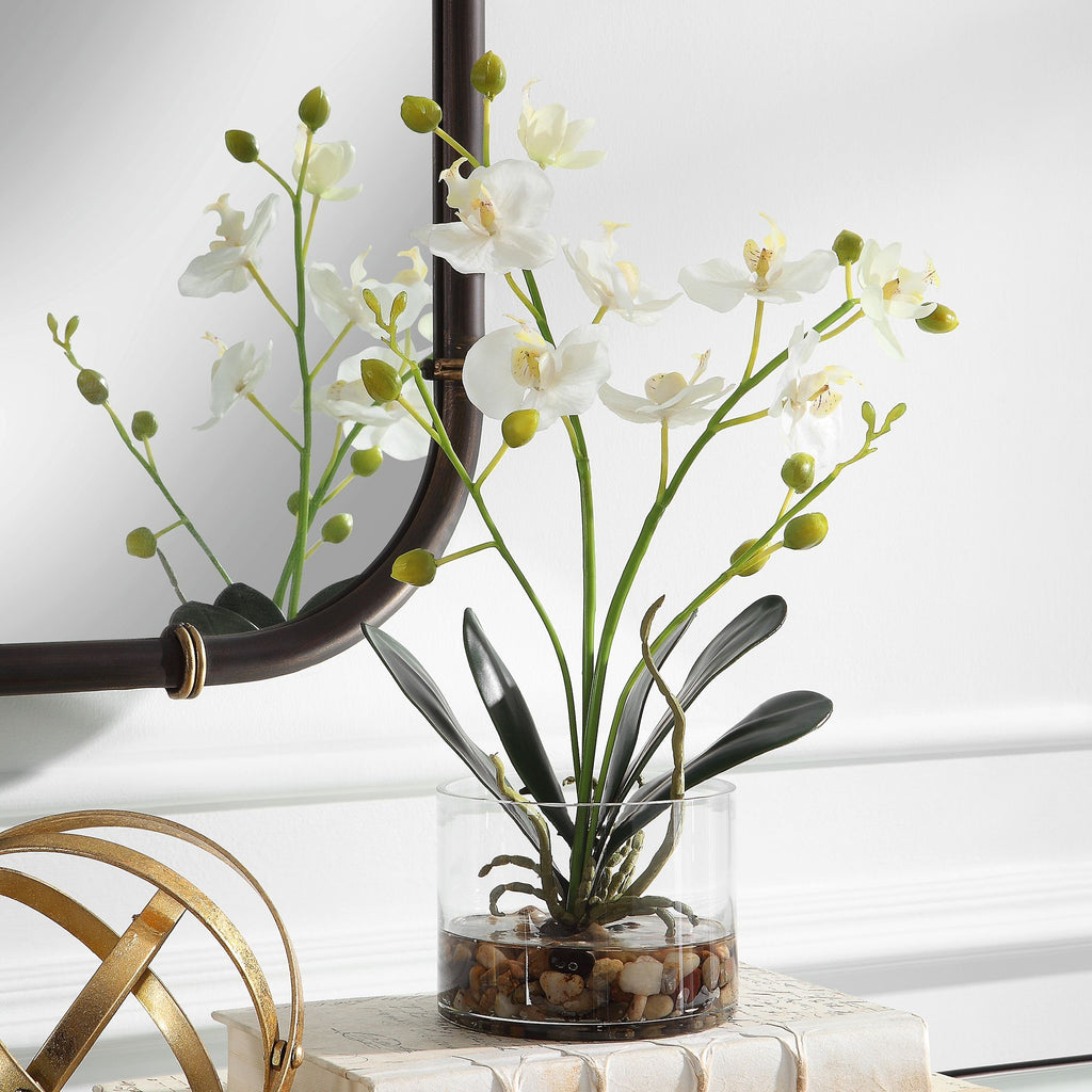 White Orchid in Clear Glass Vase | Home Decor - Alternate Image