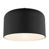 7505401-112 Malone 1 Light Semi Flush | Alternate Image