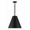 Crystorama Alston 18'' Pendant in Matte Black + Antique Gold - Additional View